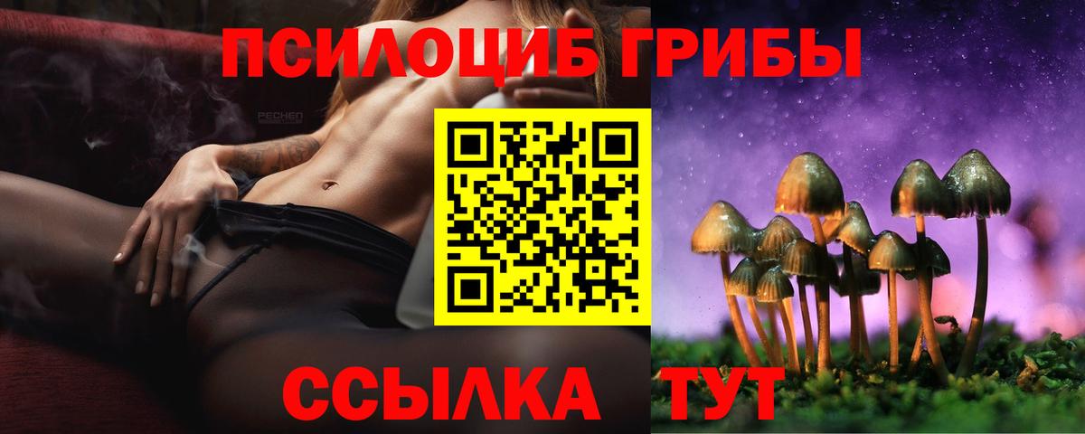 Псилоцибиновые грибы MAGIC MUSHROOMS Тулун